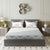 Sydney Collection Cotton Flat Bedsheets - Beige