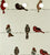 Milan Collection Cotton Curtain with Animal Print for Window/Door/Long Door – Red (Pack of 1)