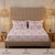 New York Collection Cotton Flat Bedsheet- Pink