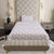 New York Collection Cotton Flat Bedsheet- Purple