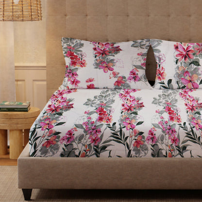 New York Collection Cotton Fitted Bedsheet- Light Pink