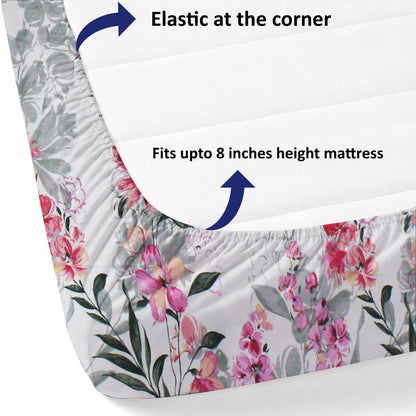 New York Collection Cotton Fitted Bedsheet- Light Pink