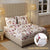 New York Collection Cotton Fitted Bedsheet- Maroon