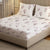 London Collection Cotton Flat Bedsheet- Pink